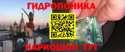 амф Бийск