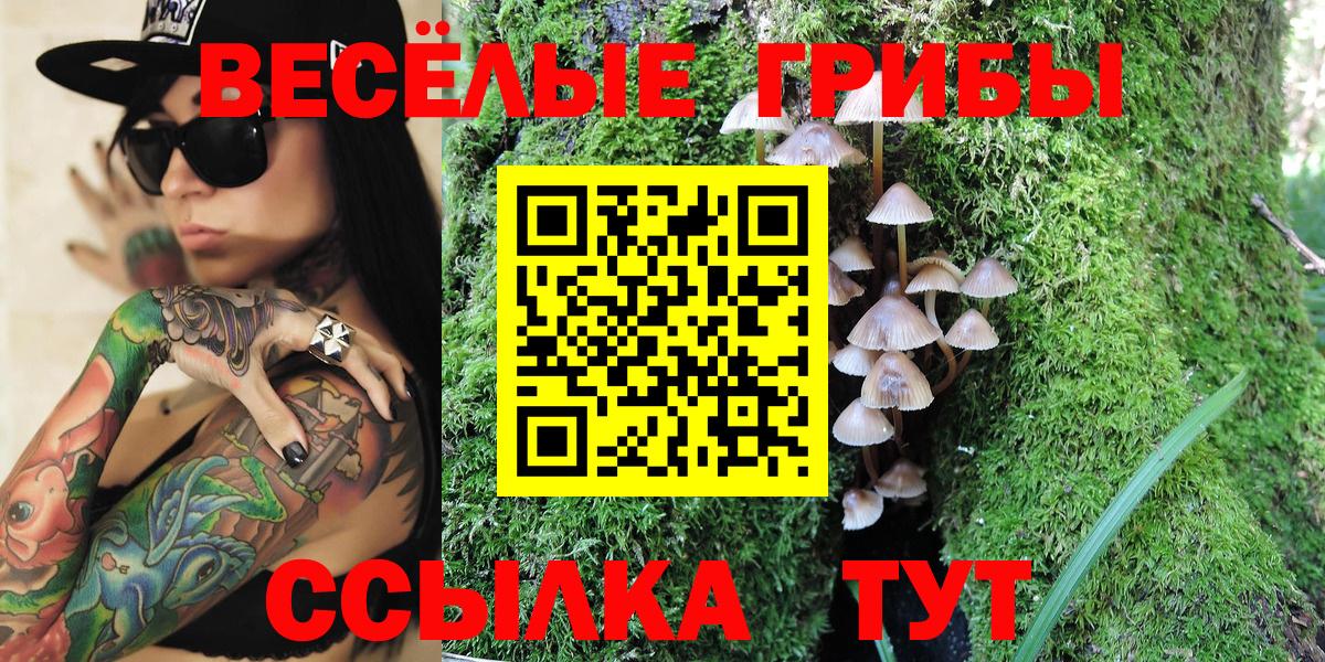 Галлюциногенные грибы MAGIC MUSHROOMS Ипатово